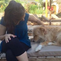 G🍃 (@elbintelawiye) 's Twitter Profile Photo G🍃 (@elbintelawiye) 's Twitter Profile Photo