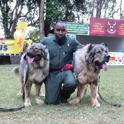 Dog Trainer, in and around East Africa. 
Working Dogs Available.