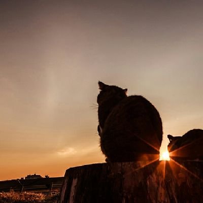 Krzyszt14760738's profile picture. 