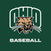 Ohio Baseball (@ohio_baseball) Twitter profile photo Ohio Baseball (@ohio_baseball) Twitter profile photo
