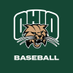 Ohio Baseball (@Ohio_Baseball) Twitter profile photo