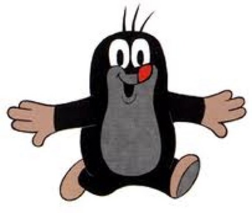 m0tcooo's profile picture. 