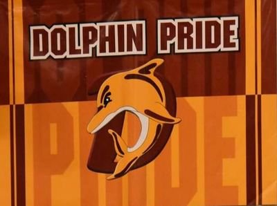 Dolphin Nation is a place to celebrate the students, teachers and families from the communities of White, Toronto, Astoria, Hendricks and others in one school!