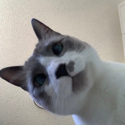 reslitter's profile picture. 