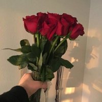 Reem Mahmoud (@reemmah79657889) 's Twitter Profile