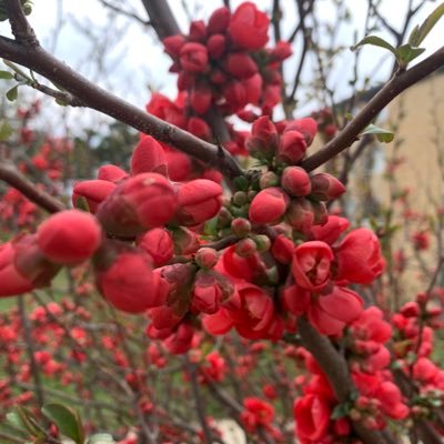 Idaliamontes19's profile picture. 