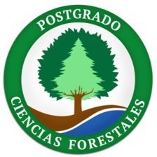 El Posgrado en Ciencias Forestales del C.P. realiza enseñanza, investigación y vinculación forestal (silvicultura, genética, manejo, y economía forestal)