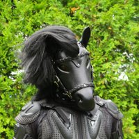 Pyro (@pyropup94) 's Twitter Profile