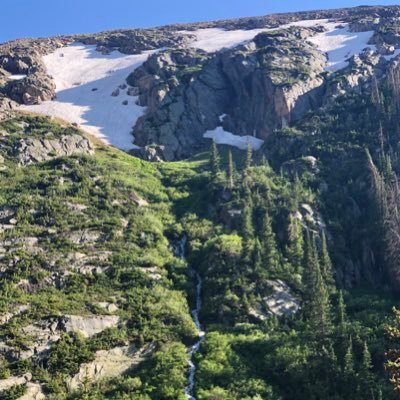 L_dauner's profile picture. 