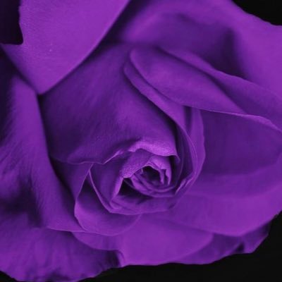 meeniethewife21's profile picture. 