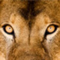 Robert Terson (@robertterson) 's Twitter Profile