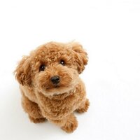 Toku_bay (@toku_bay) 's Twitter Profile Photo Toku_bay (@toku_bay) 's Twitter Profile Photo