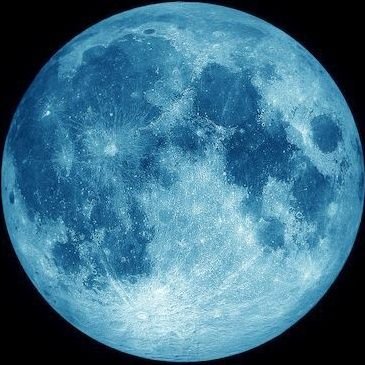 1001lilbird's profile picture. I draw my dreams | 💭