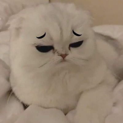 Tdaxx_q's profile image