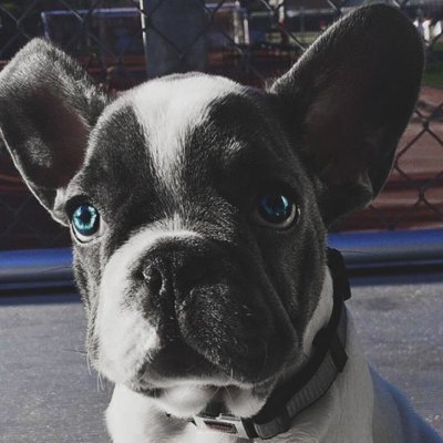 MarcusFu4's profile picture. LED light Manufacturer in CHINA