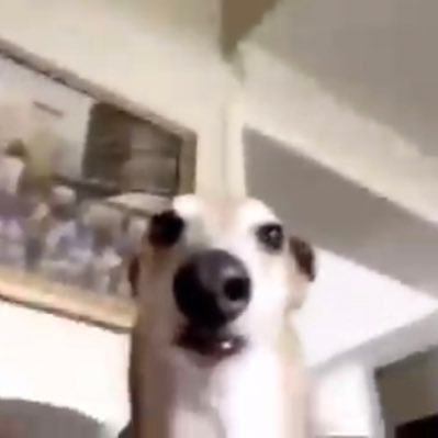 WashedJayden's profile picture. Inspiring FBA seller