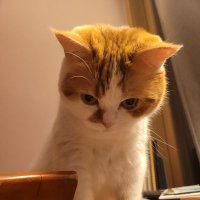 cute (@sensetruth153) 's Twitter Profile