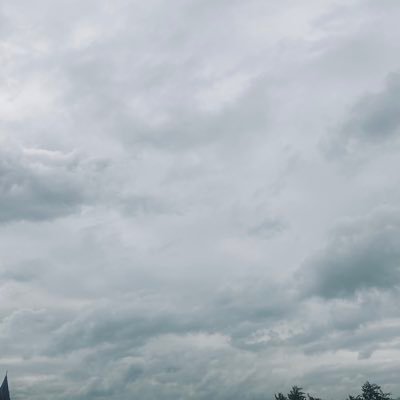 GDissolved's profile picture. 