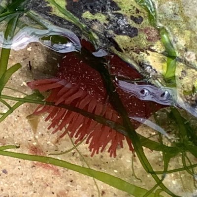 nghsbio's profile picture. Biology Department at Nottingham Girls' High School.