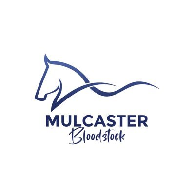Mulcaster Bloodstock Profile