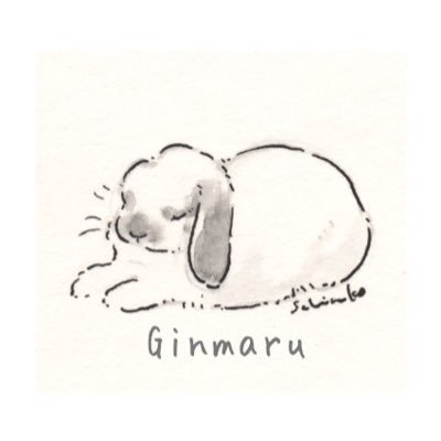 幸せそうなうさぎさんを見るのが趣味です🐰2014.4.23生まれホーランドロップ フロスティのぎんまる 純血種男の子 と暮らしています🍀*リン 女の子 (お月様🌕2003~2011) ♡ペット垢さん無言フォロー失礼致します❁!アイコン🫶@schinako