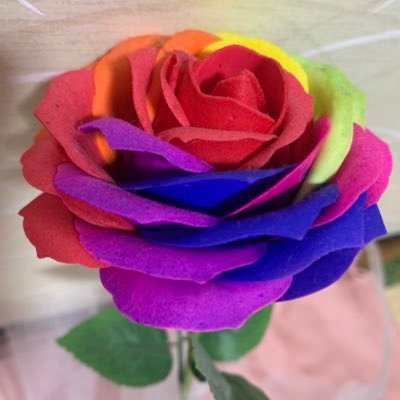 ✨✨✨(シャリーン)勝利「セクシーローズ🌹」私「ぎゃーーーーー❤️❤️❤️」の過去を持つ、そして『男 never give up』の不買運動から冷めてきて『君にHITOMEBORE』の3人だけのレコーディングで担降りしました