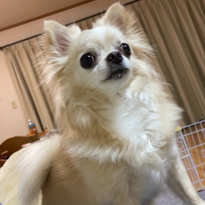 20↑ 社会人 ユンギさんとミンハオさん、ドギョムさんが好きです。BTS.SEVENTEEN尊い RPS理解あり　CPはグクミンがダントツですね…