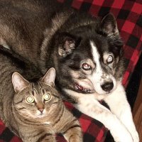 Jenn Baker (@jennbaker25) 's Twitter Profile Photo