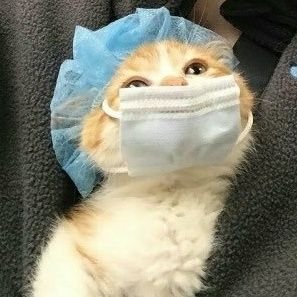 tweetsbymoi's profile picture. Esther. She/Her Living in the land of 긍께 and ~잉. 위국인.