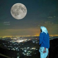 فحل عدن لزوجات خورمكسر (@adobe17933068) Twitter profile photo