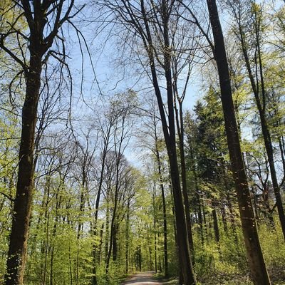 Lizy1331Lizy's profile picture. 