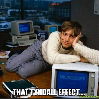 mangohav's profile picture. learning