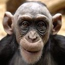 KYmonkeyboy - @BennettBaldwin8 - Twitter