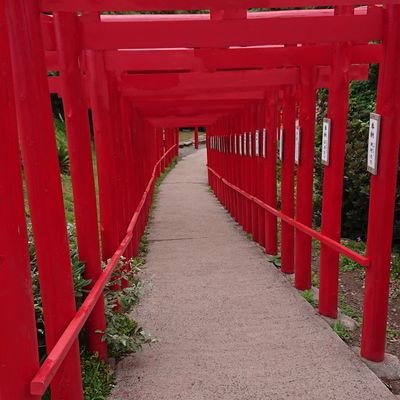 x4vvl1p62jjn2XP's profile picture. 麻雀/Mリーグ/ニカイダー🐥🍓🐱/炎護舞隊