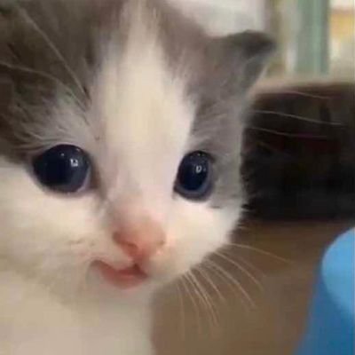 SPOTTHEPATTERN1's profile picture. 