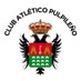 Club Atco Pulpileño (@pulpileatletico) Twitter profile photo