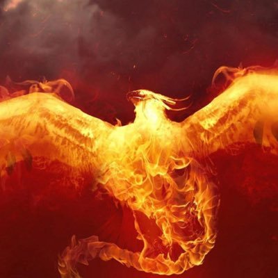 jssevar's profile picture. Kitty acct. UX design, digital futures.