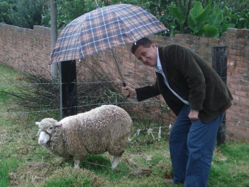 WilsonParraR's profile picture. Hijo de Dios, esposo de Martha Lu, Papá de Andrés y David. Ingeniero Industrial, Siervo del Señor, Pastor en Casa sobre la Roca, Iglesia Cristiana Integral.