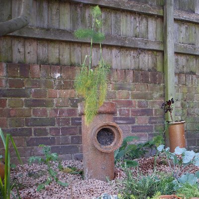 South London Urban Growers. 
using land in South London to grow things we want.