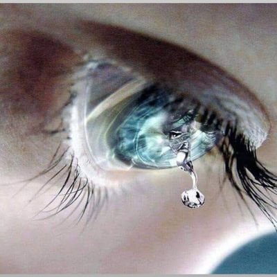 WafdarS's profile picture. 