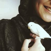 bent el daravesh (@llianaoz) 's Twitter Profile Photo