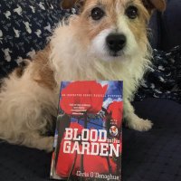 Chris O'Donoghue (@capabilitychris) 's Twitter Profile Photo