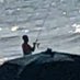 SurfingShark (@willmozingo2) Twitter profile photo SurfingShark (@willmozingo2) Twitter profile photo