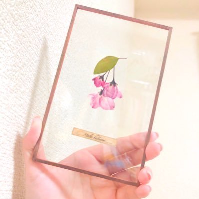 まおこさんのプロフィール画像