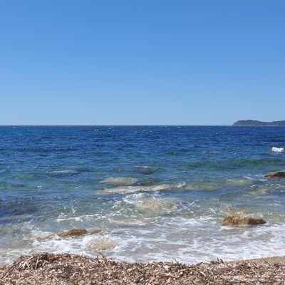 ForyouPuppy's profile picture. Amoureux de la vie surtout pas de prise de tête juste du FUN