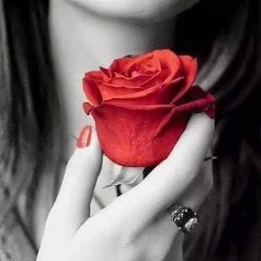 PY4pucbJK0v2ZQS's profile picture. أحب ذآتي وعنيده وأحب نفسي وملكة نفسي ومغرمه بها وكثير من يحاربني لأني متميزه في حق ذآتي صادقه لا اجيد الكذب عفويه ولكن حقانيه كتومه ولكن مهاجمه .. برجي الحمل..