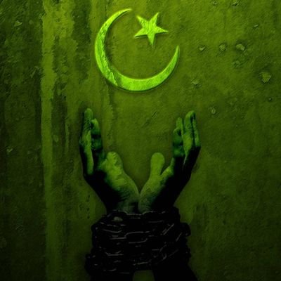 Peacemaker141's profile picture. 