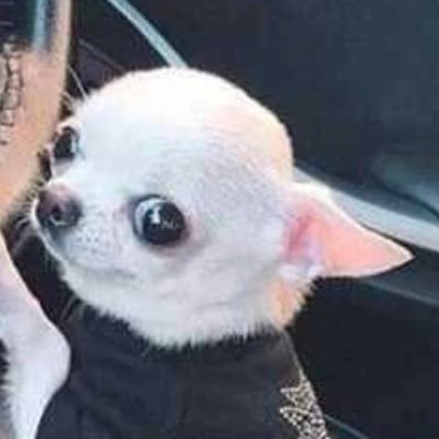 ytr_15's profile picture. 