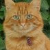 wenn Ihr mich sucht, bin im Garten (@cstaedter) Twitter profile photo wenn Ihr mich sucht, bin im Garten (@cstaedter) Twitter profile photo