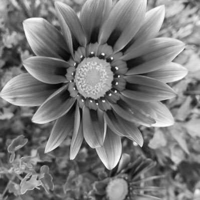 Malieka33's profile picture. 